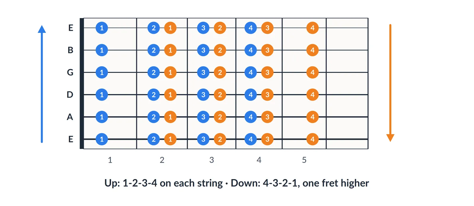 Guitar spider exercise: fingers 1-2-3-4 up each string on frets 1–4, then 4-3-2-1 back down one fret higher