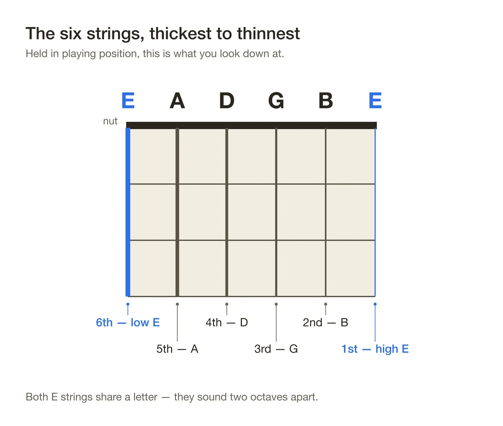 A guitar neck seen head-on with the nut at the top and the six strings labelled E A D G B E above it: 6th low E, 5th A, 4th D, 3rd G, 2nd B, 1st high E, drawn thick to thin with both E strings highlighted
