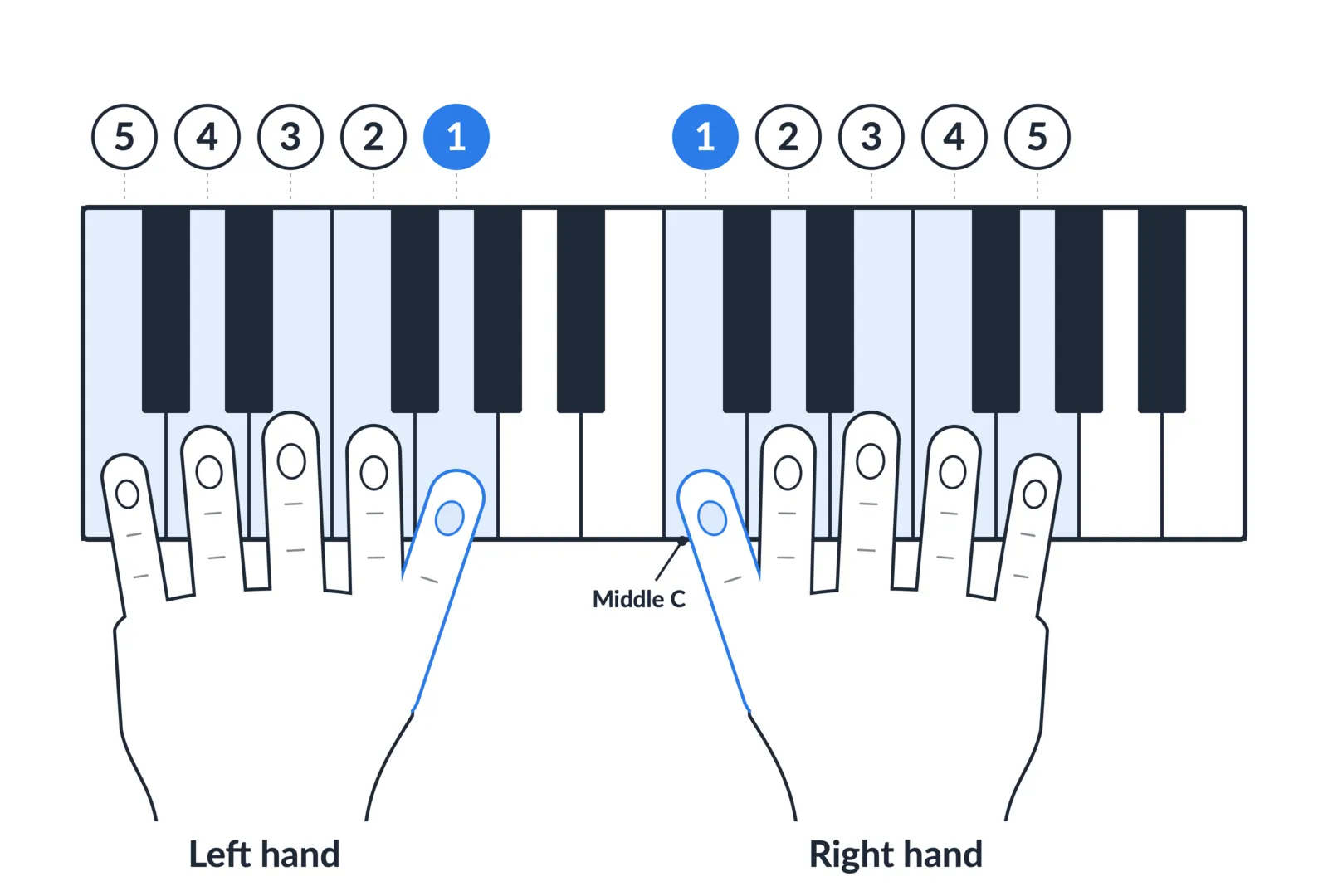 Both hands in C position on a piano keyboard, fingers numbered 1 to 5, both thumbs highlighted beside middle C