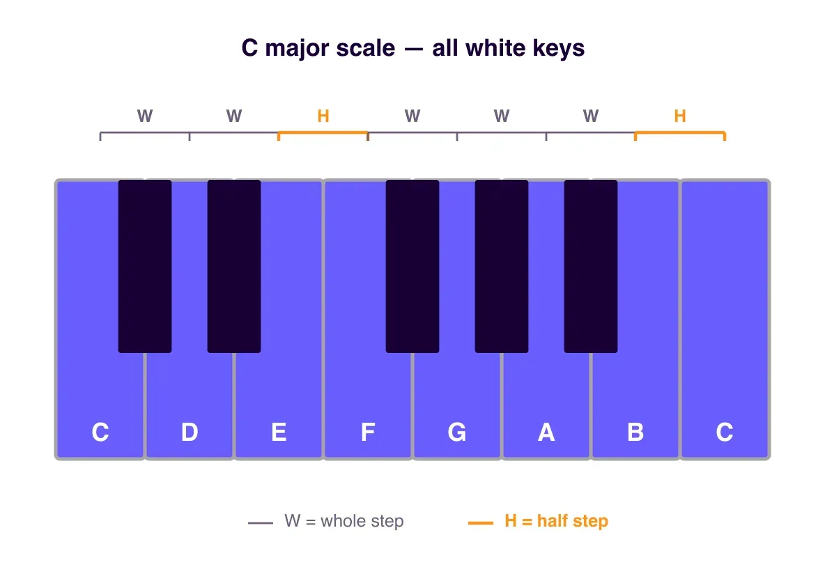 A piano keyboard with one octave labeled C–D–E–F–G–A–B–C, the C major notes highlighted on the white keys, and the whole- and half-step distances marked.