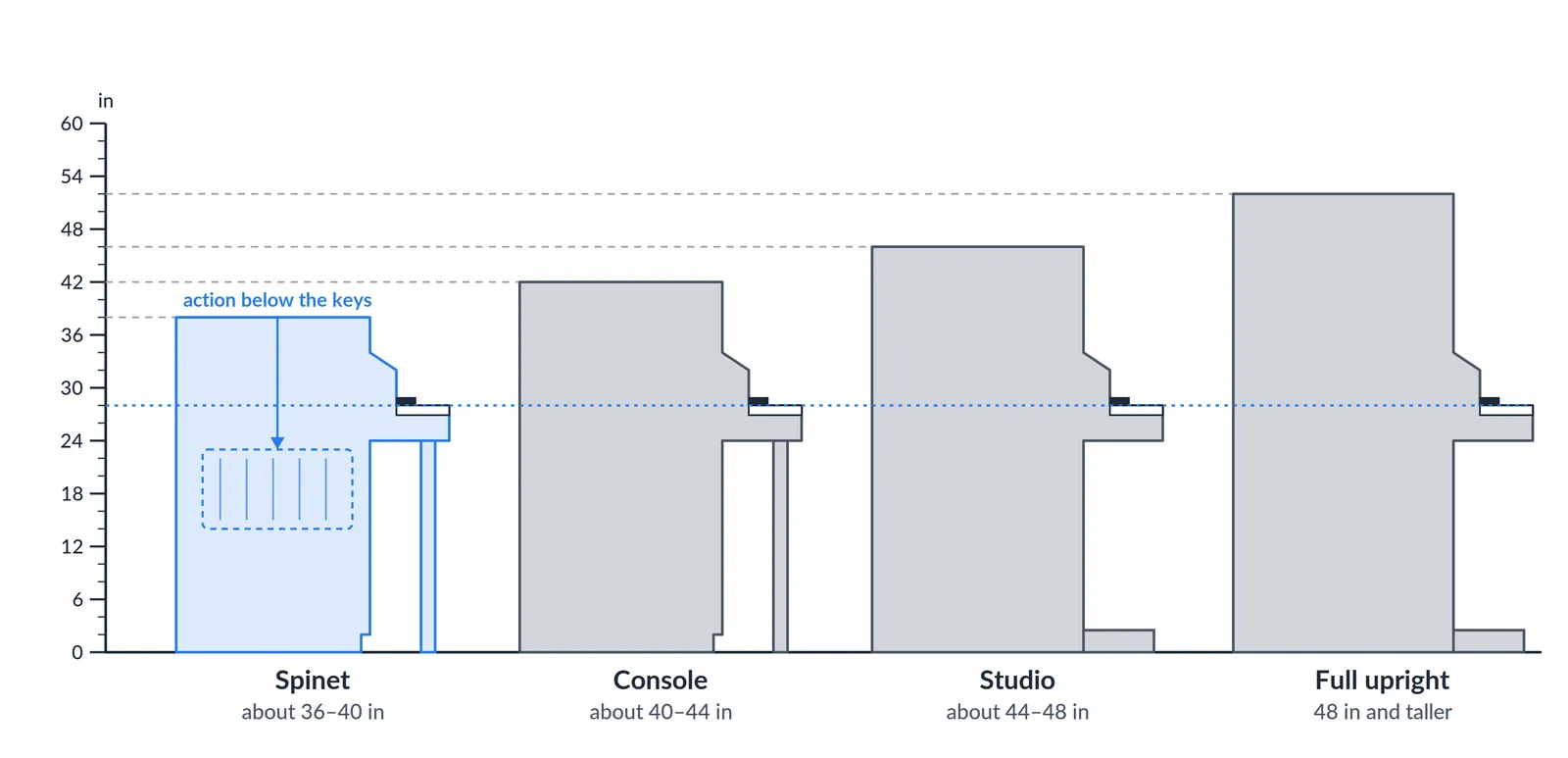 Upright piano sizes by height in inches: spinet, console, studio and full upright, with the spinet's action below the keys