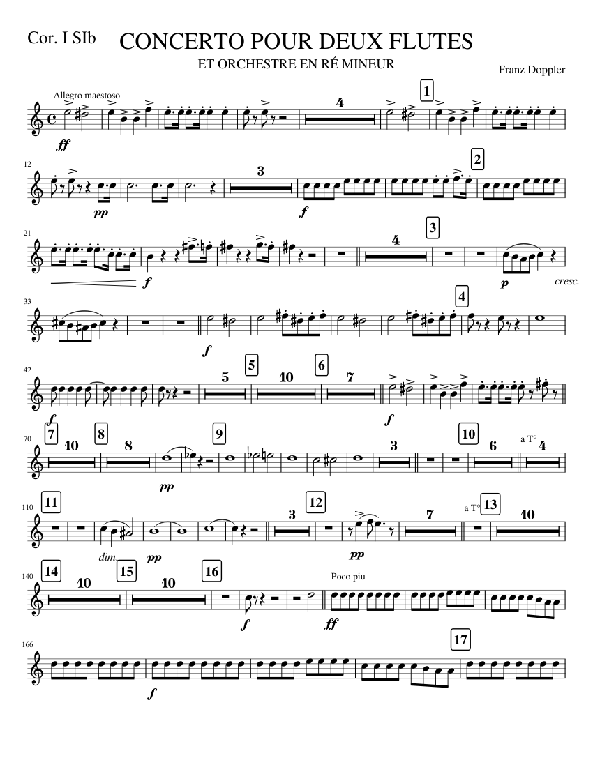 COR1SIB. CONCERTO 2 FLUTES