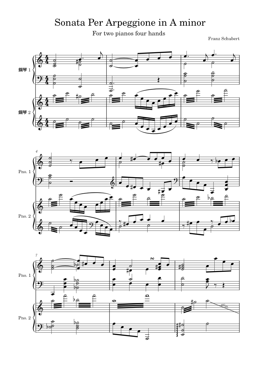 Franz schubert sonata per arpeggione in a minor – Franz Schubert Franz ...