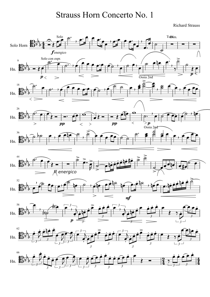 Horn Concerto No.1 Op.11