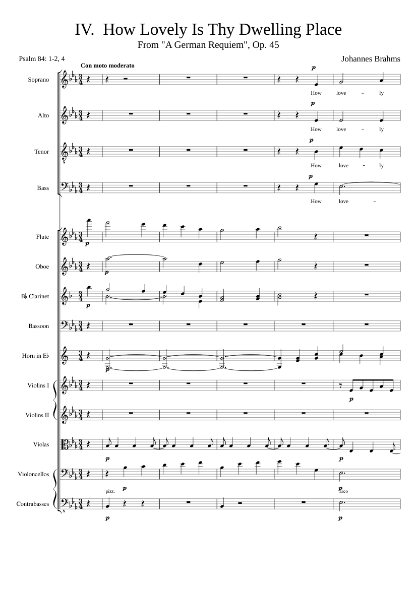 Ein deutsches Requiem Op.45