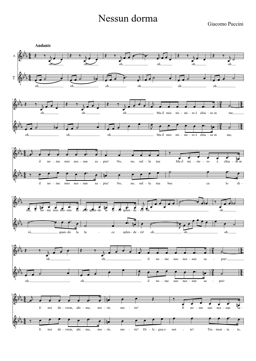Nessun dorma for ConVita alt/tenor Sheet music for Oboe, Guitar (Mixed  Duet) | Musescore.com