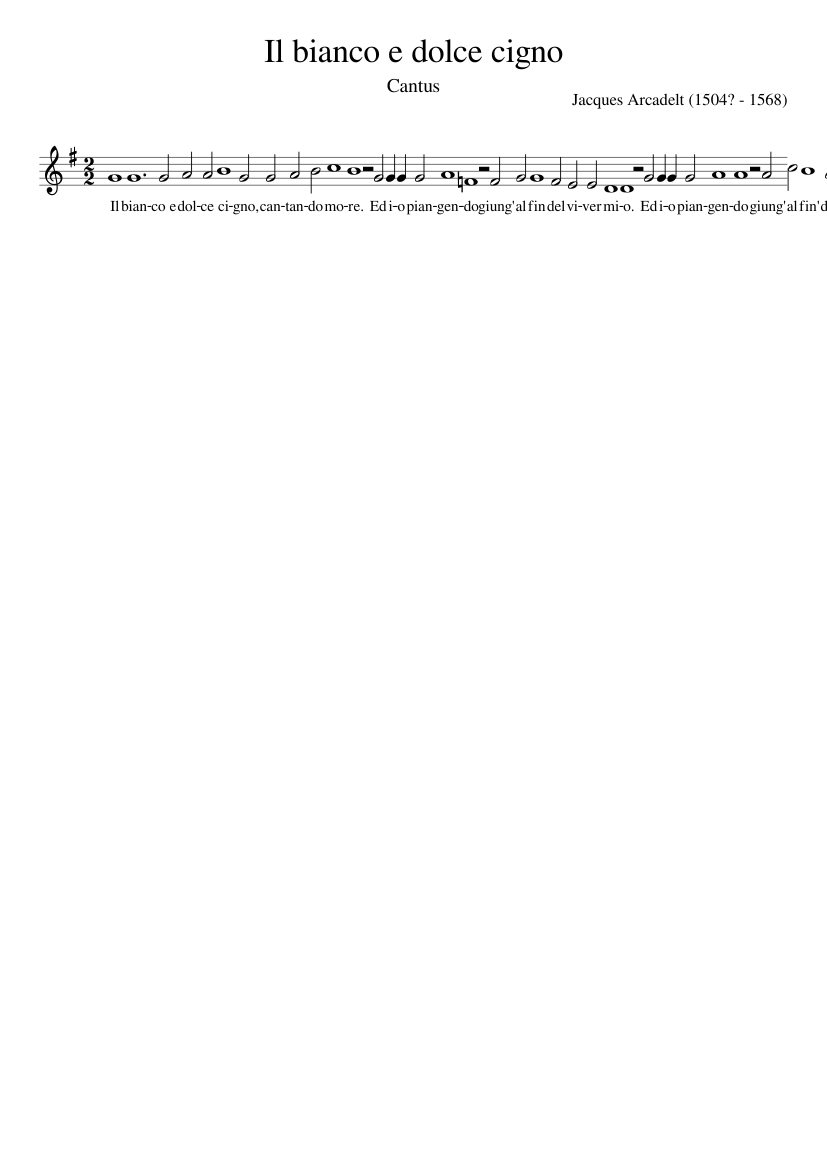 Il bianco e dolce cigno