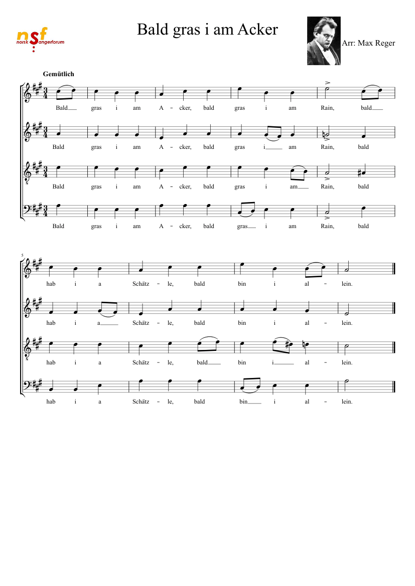 Bald gras i am Acker