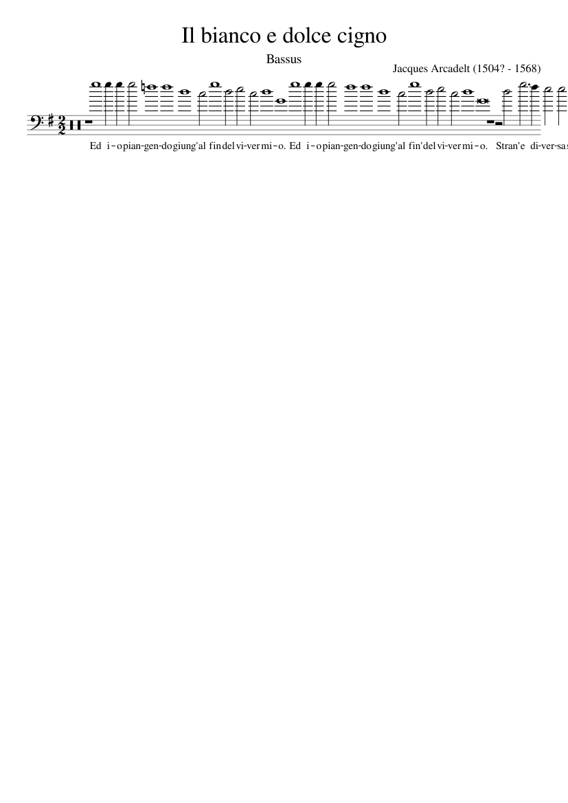 Il bianco e dolce cigno