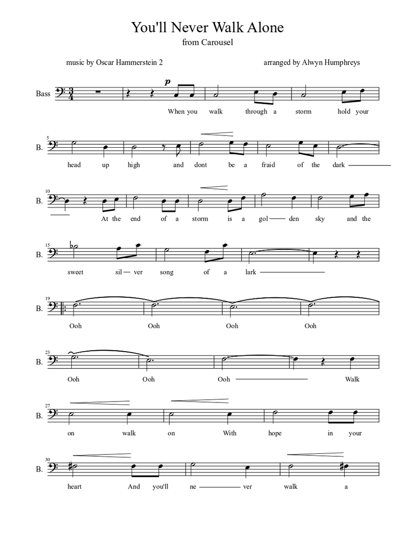 You"ll never walk alone Sheet music for Bass guitar (Solo) | Musescore.com