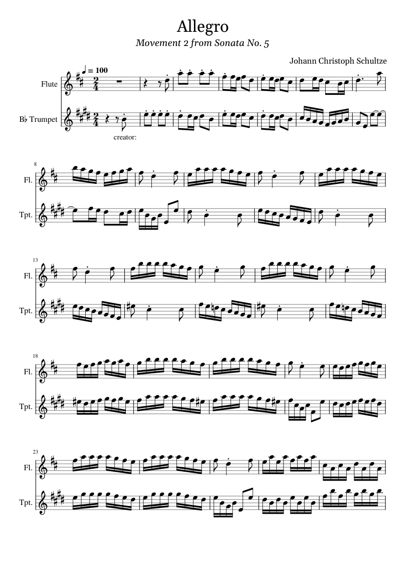 IV. Allegro from Sonata for two flutes Nr 5 in Dmajor Johann