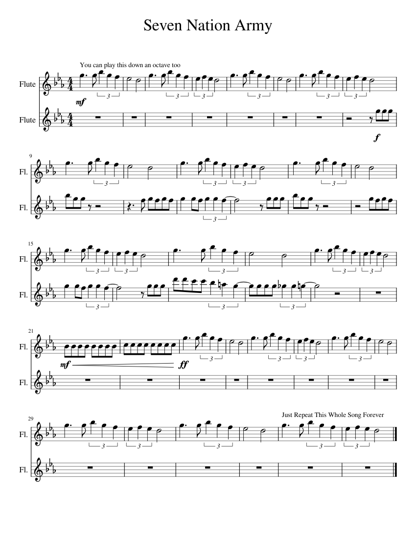 Seven Nation Army Sheet music for Flute (Woodwind Duet)