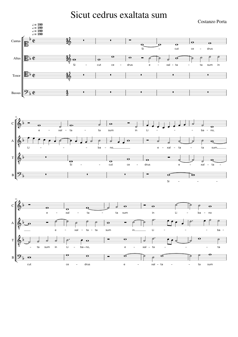 Sicut cedrus exaltata sum