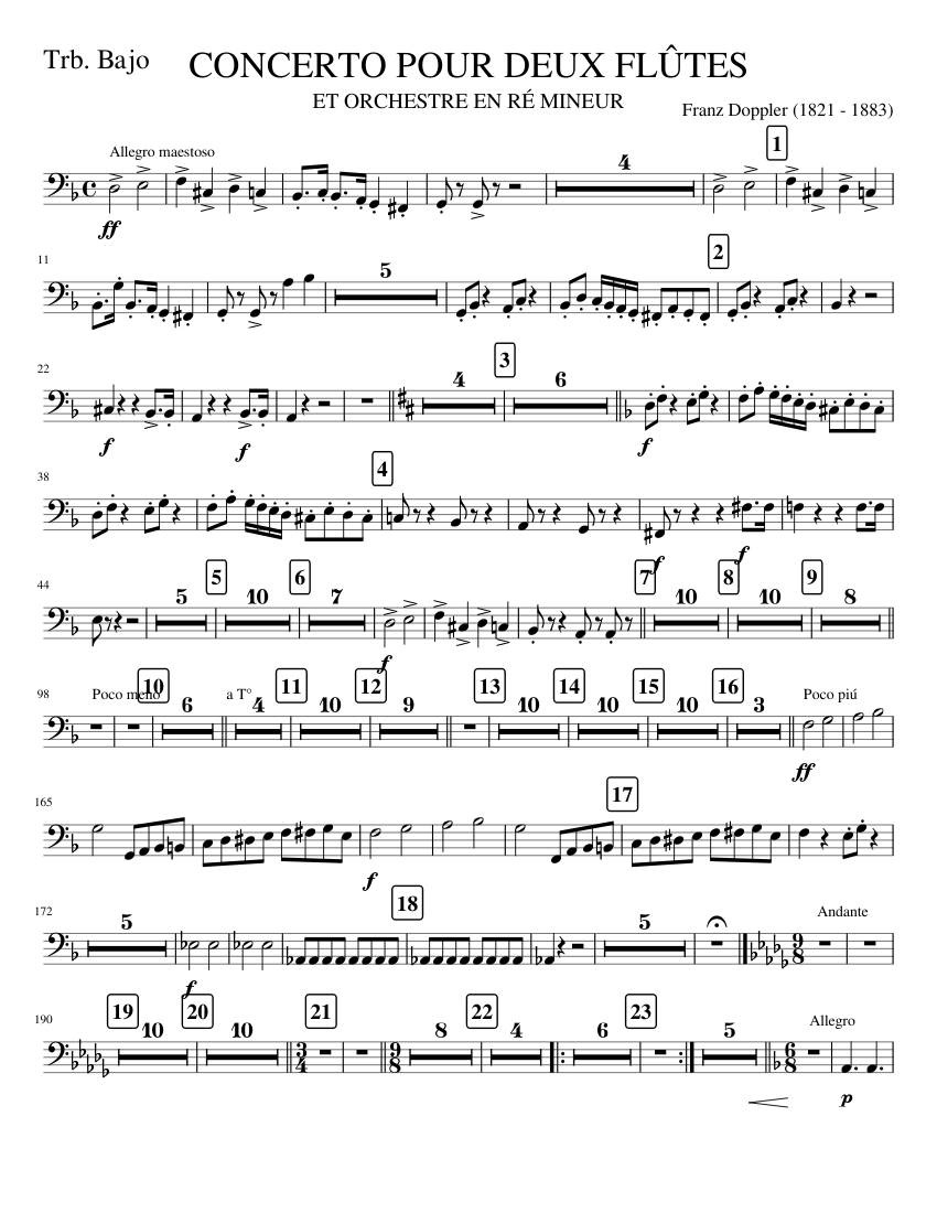 TRBB. CONCERTO 2 FLUTES