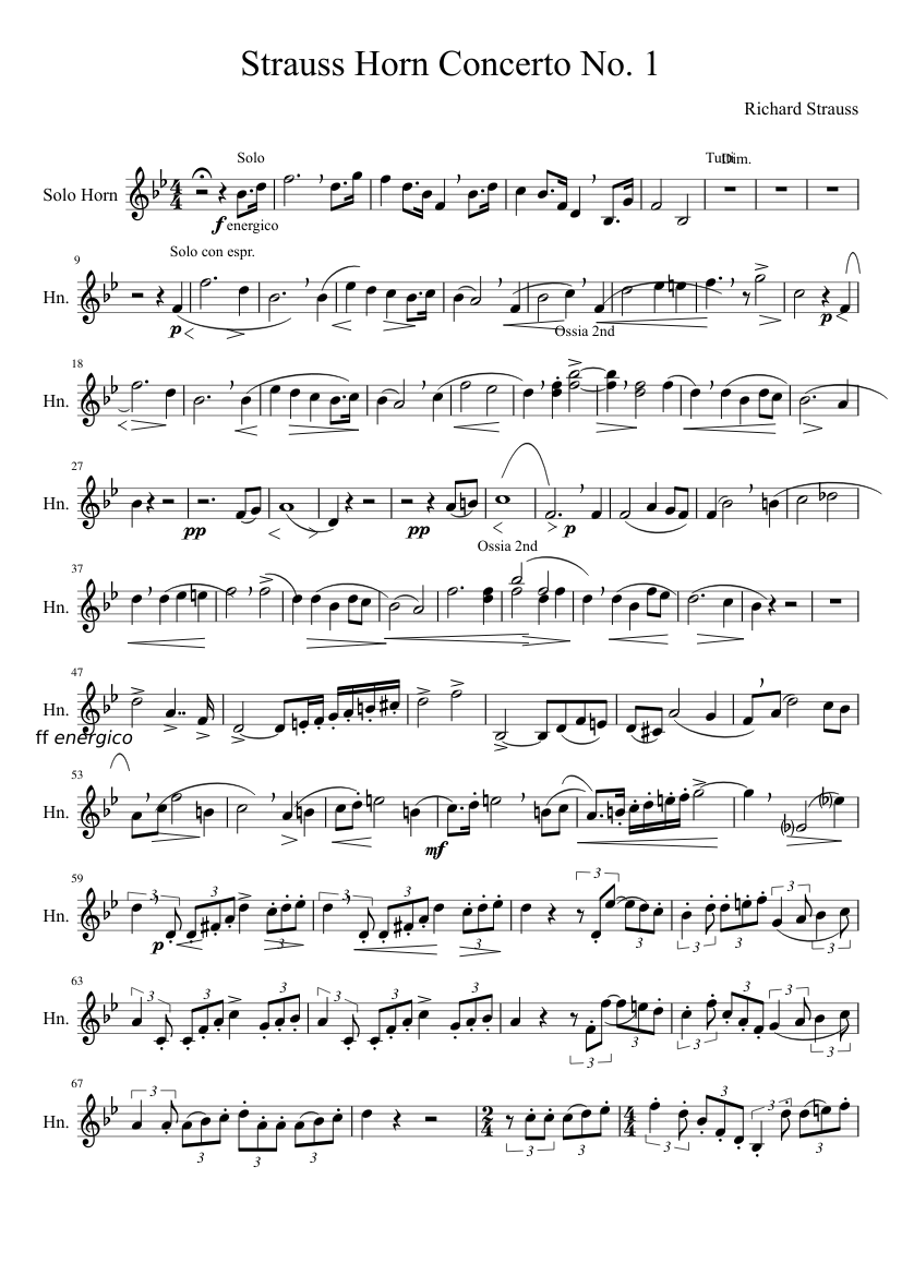 Horn Concerto No. 1