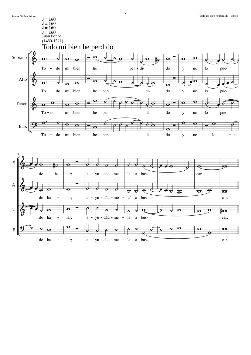 Todo mi bien he perdido