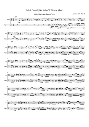 Sheet Music For Viola With 2 Instruments Musescore Com Am tylko jedno w glowie mam em koksu piec gram dm odleciec sam, w kraine zapomnienia. musescore com