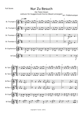 Free Nur Zu Besuch by Die Toten Hosen sheet music | Download PDF or print  on Musescore.com