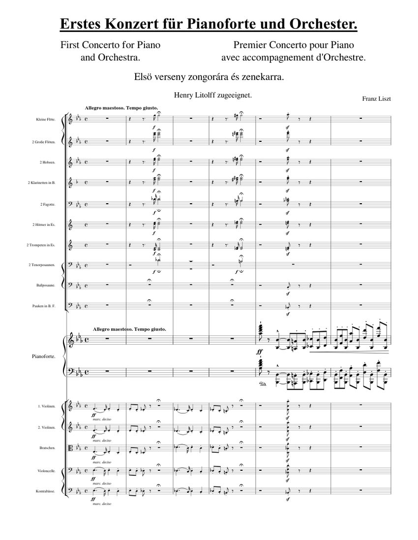 Liszt - Piano Concerto No. 1 Sheet music for Piano, Trombone tenor,  Trombone bass, Flute piccolo & more instruments (Symphony Orchestra) |  Musescore.com