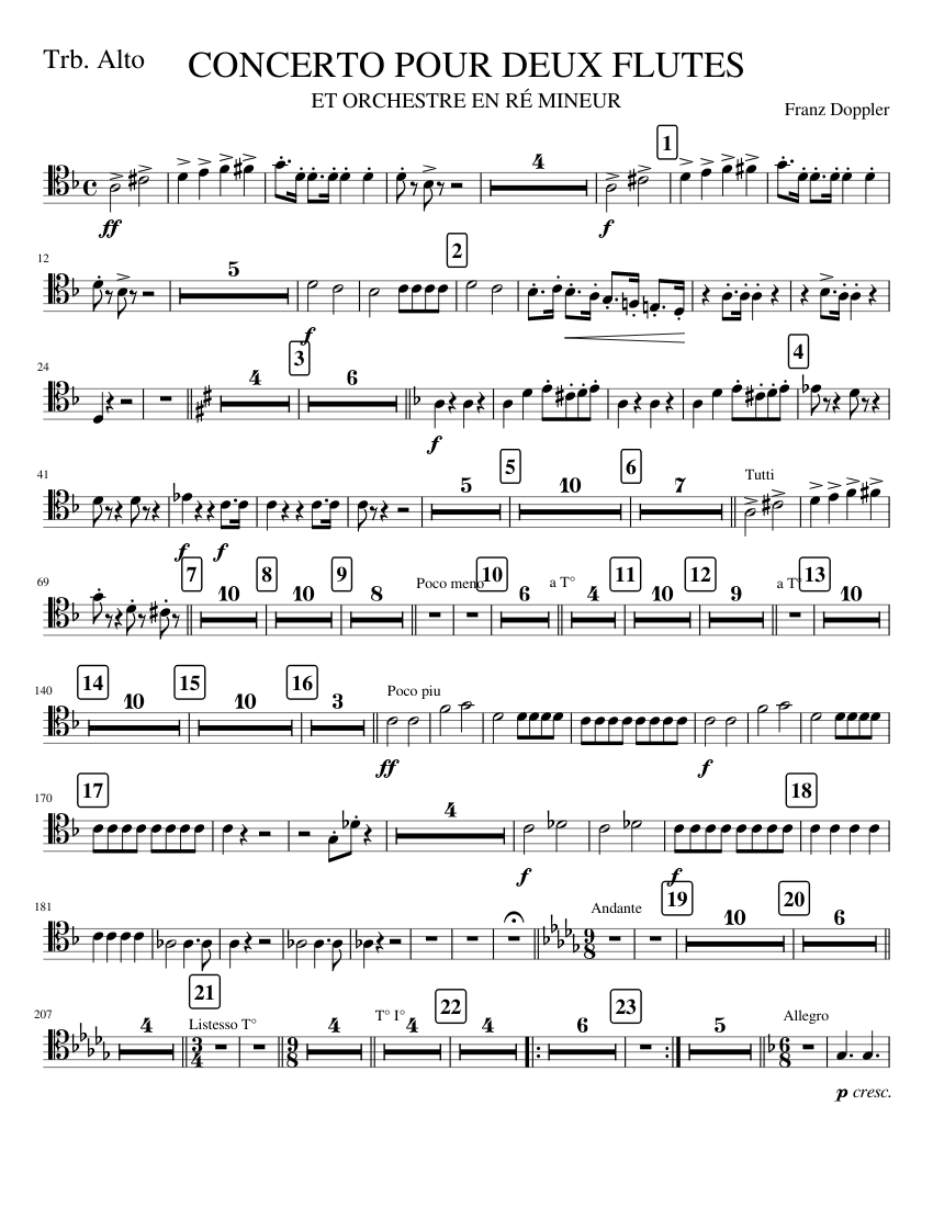 TRBA. CONCERTO 2 FLUTES