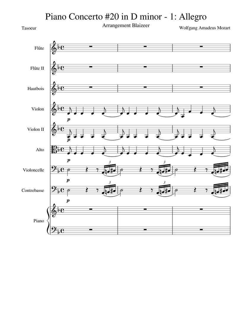 Mozart Piano Concerto 20 in D minor 1 Allegro Sheet music for Piano, Flute,  Oboe, Contrabass & more instruments (Chamber Orchestra) | Musescore.com
