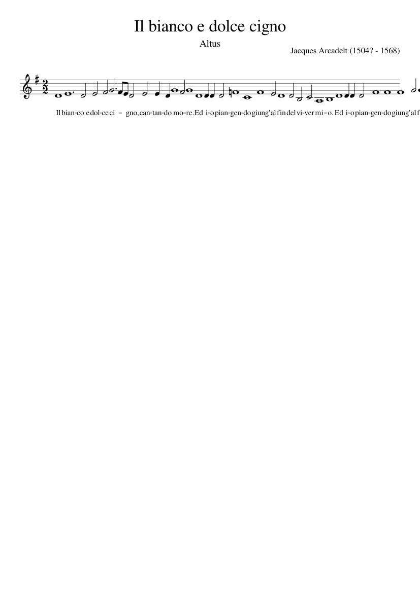 Il bianco e dolce cigno