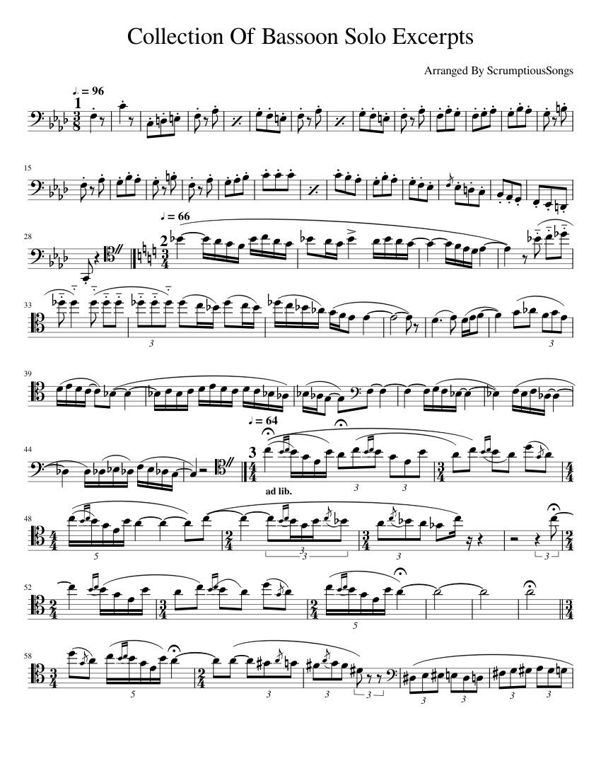 Various Classical Bassoon Solo Excerpts Sheet music for Bassoon (Solo