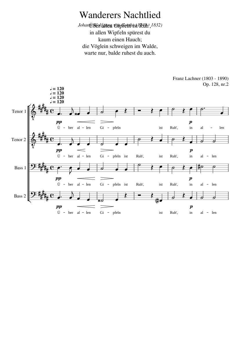 Wanderers Nachtlied