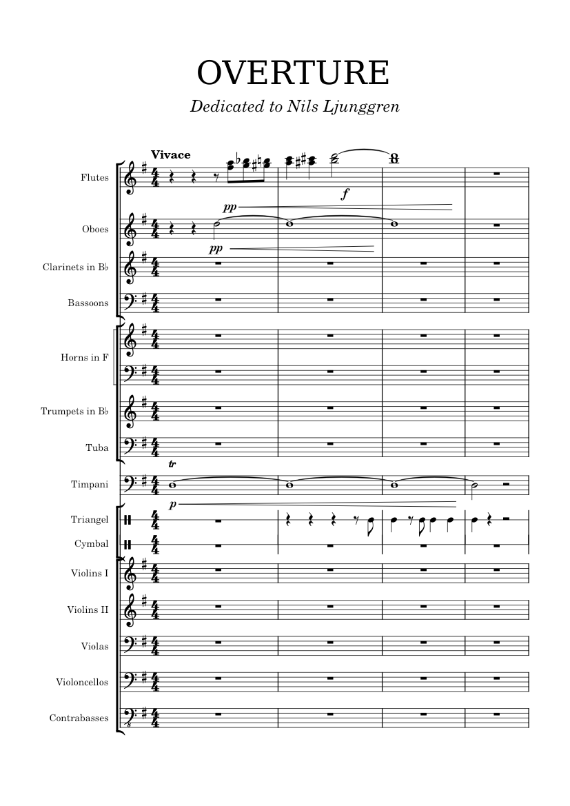 Overture Instruments OVERTURE *Work in progress