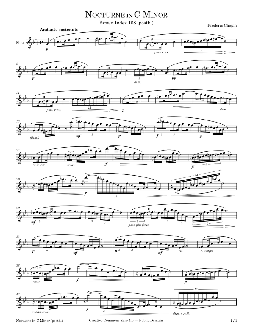 Nocturne in C minor Flute Solo Chopin posth. sheet music for