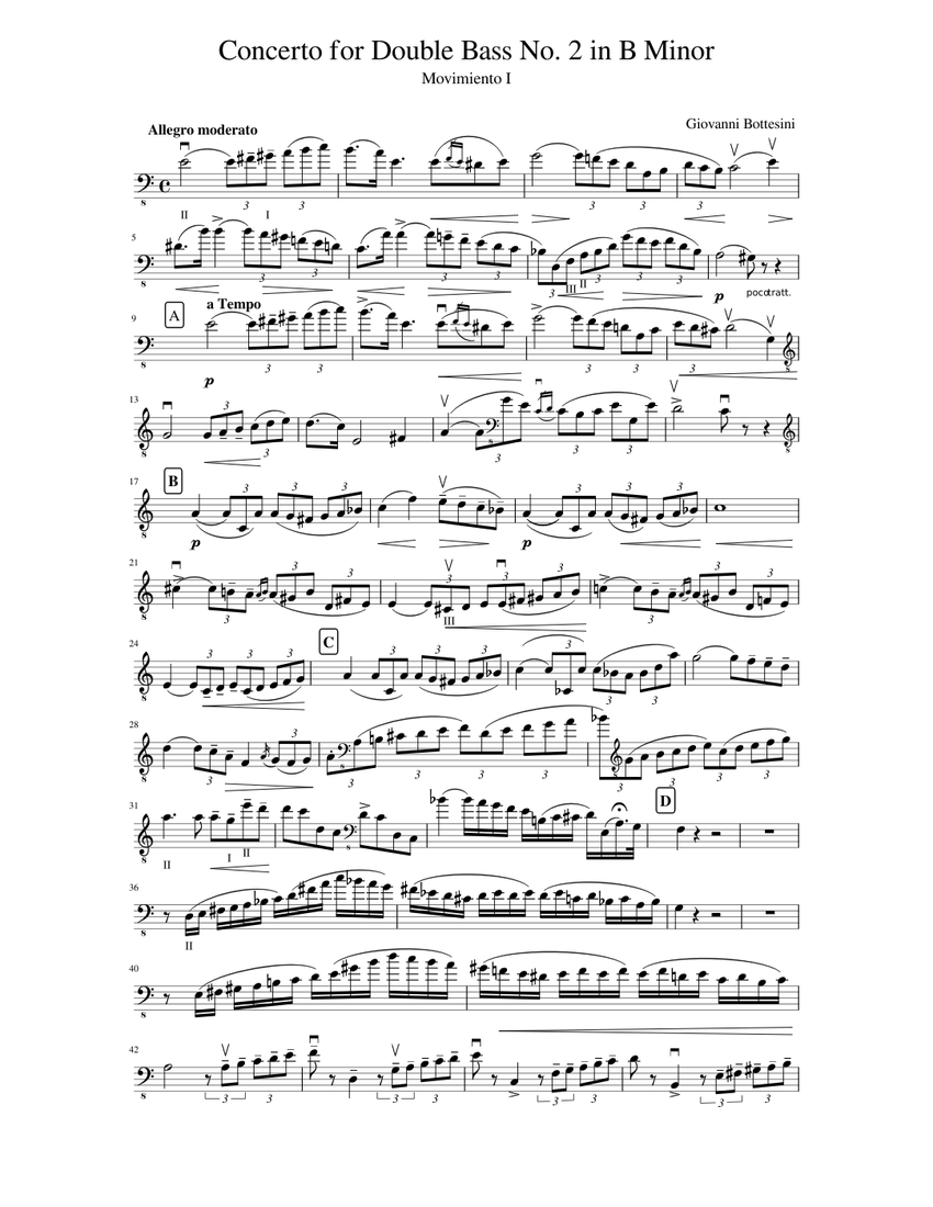 Concerto for Double Bass No. 2 in B Minor Sheet music