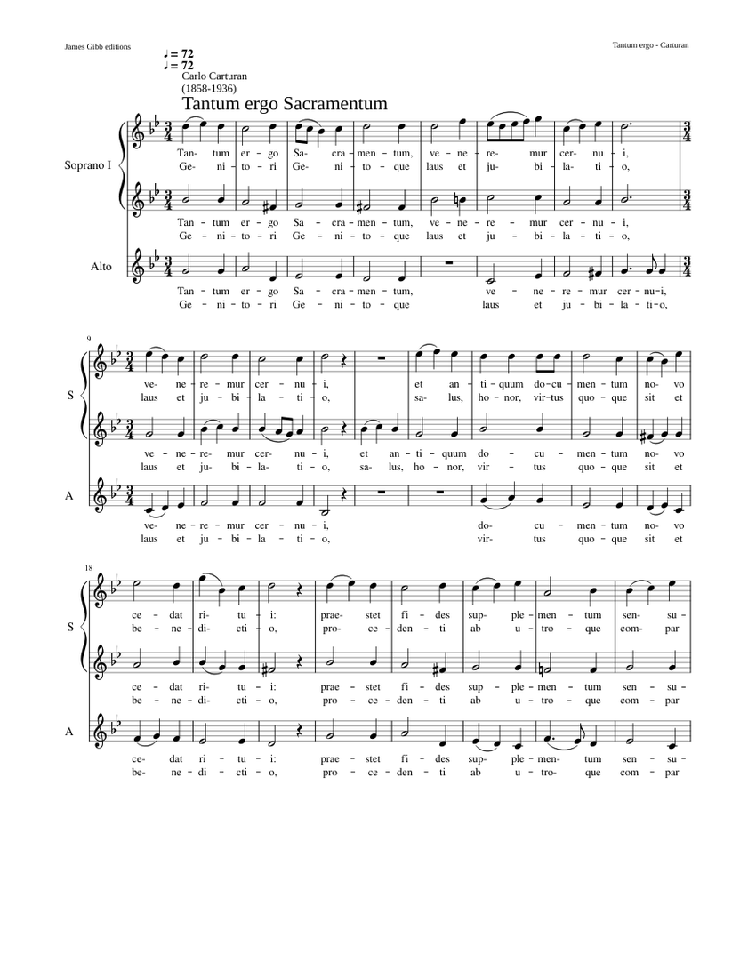 Tantum ergo Sacramentum - Carlo Carturan Sheet music for Flute ...