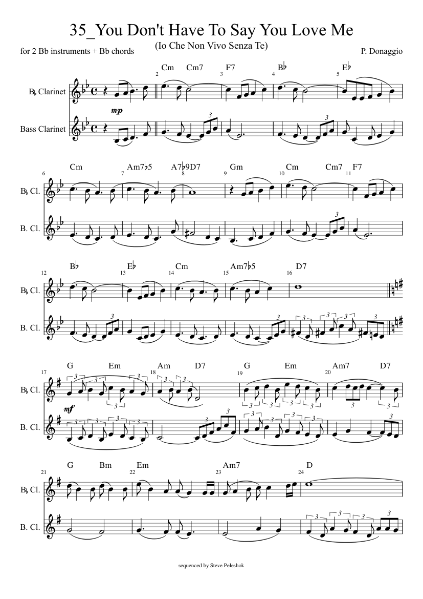 35 You Don T Have To Say You Love Me Sheet Music For Clarinet