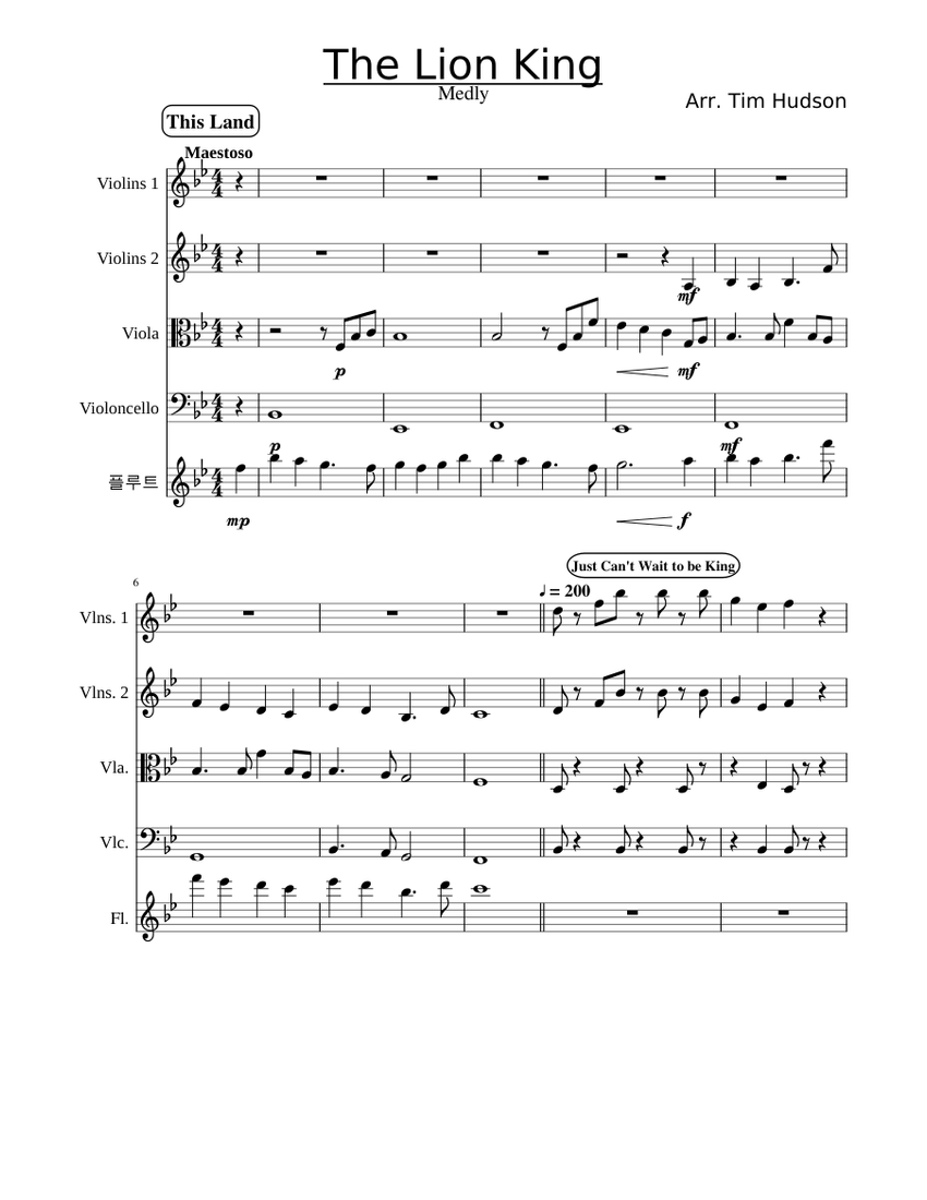 The Lion King Medley Sheet music for Flute, Strings, Viola, Cello | Download free in PDF or MIDI ...