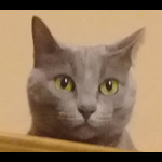 MuseScore profile picture for @Mariella Rosa