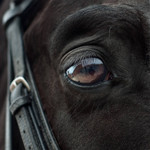 MuseScore profile picture for @humber70