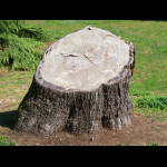 MuseScore profile picture for @stumped