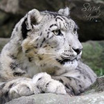 Les Autres De Samuel Hercule Sheet Music For Piano Solo Musescore Com samuel hercule sheet music