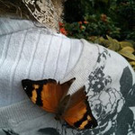 MuseScore profile picture for @aurora.prs