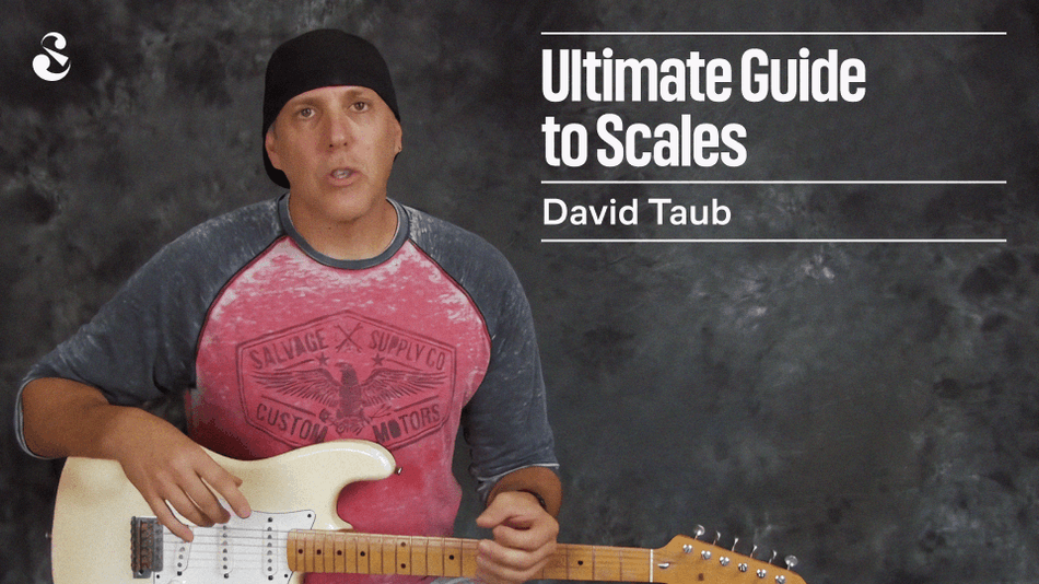 Ultimate Guide to Scales and Scale Usage