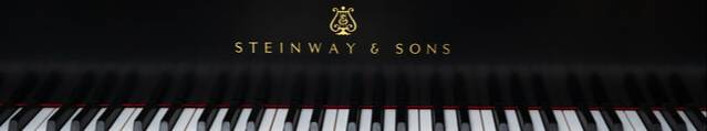 MuseScore banner for @wiltonmello1975