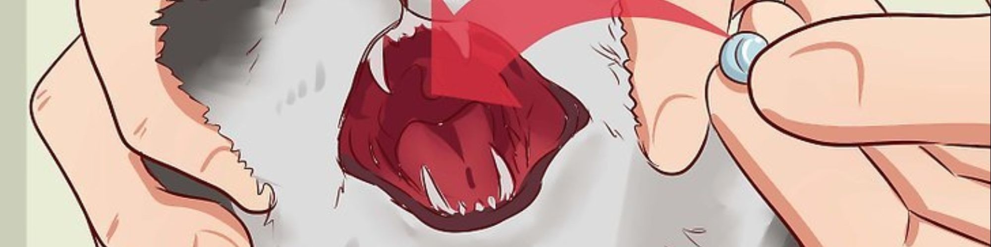 MuseScore banner for @CTOON