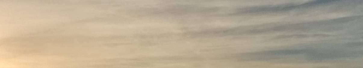 MuseScore banner for @Martin Nest