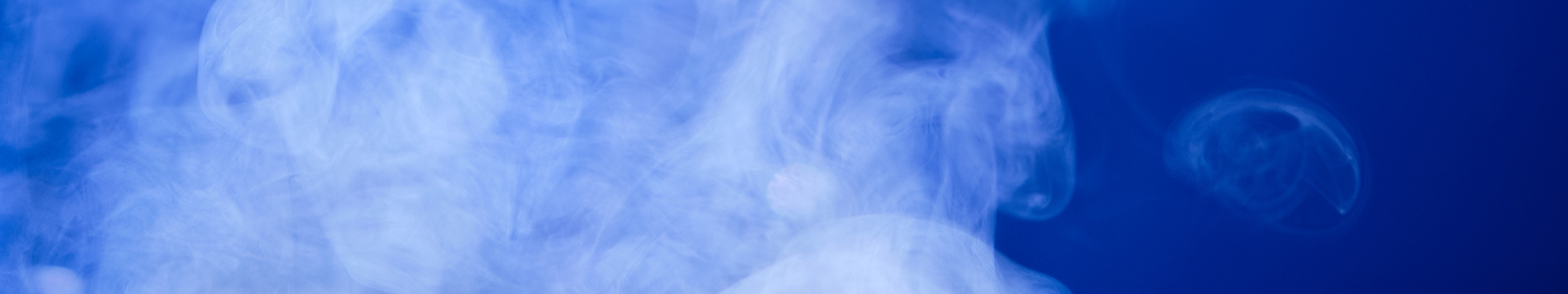MuseScore banner for @risottodirk