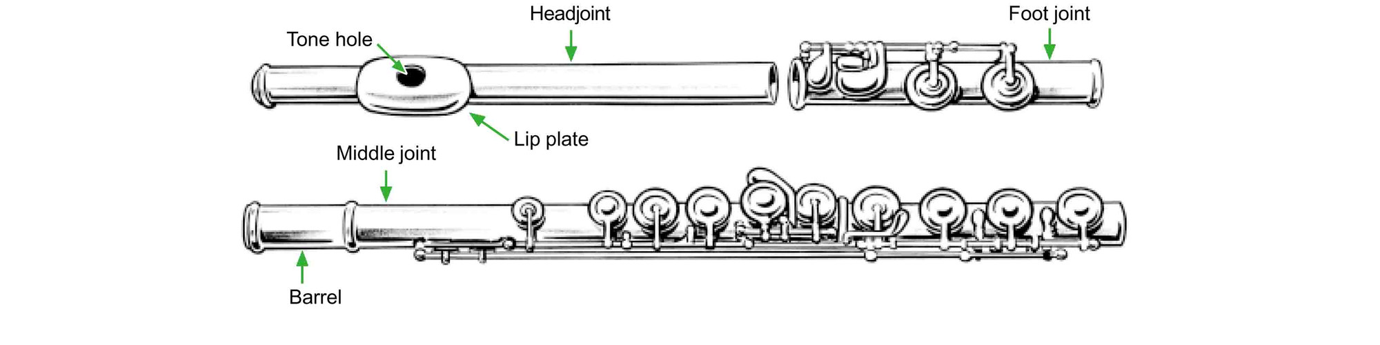 Строение флейты схема